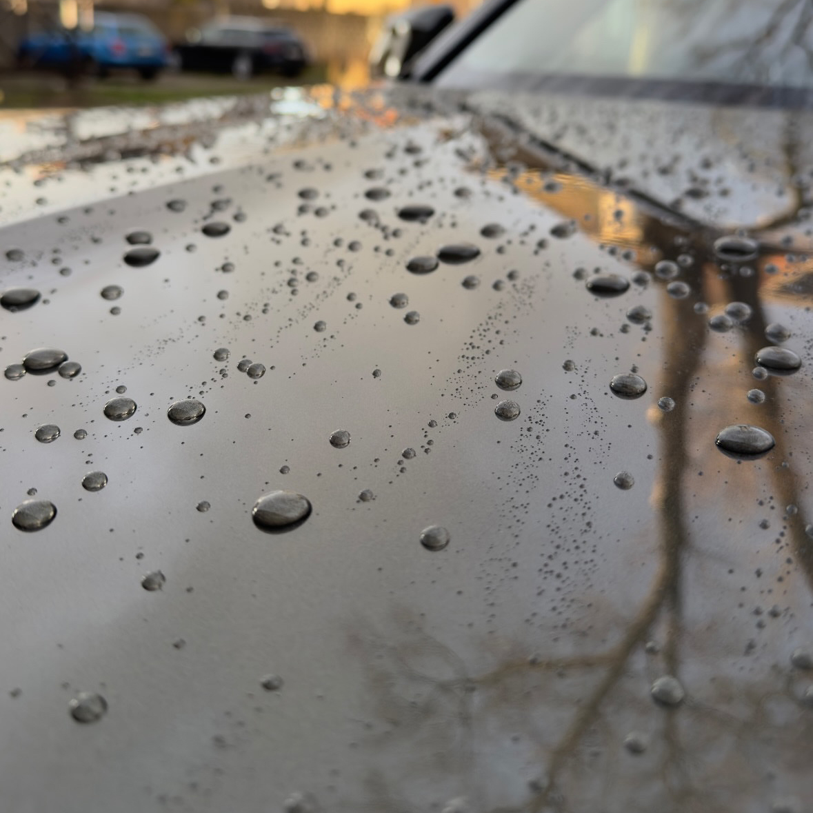 hydrofobowość ppf na masce auta kia sportage. realizacja - KWrap Sulechów